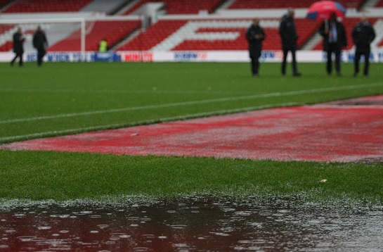 Forest-Reading: Αναβολή